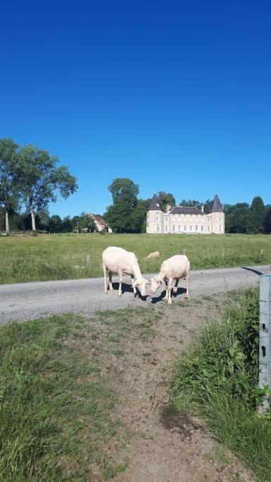 Gite A La Ferme, Avec Animaux, Fromages Et Nature Neuville-les-Decize Exterior foto