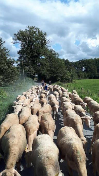 Gite A La Ferme, Avec Animaux, Fromages Et Nature Neuville-les-Decize Exterior foto