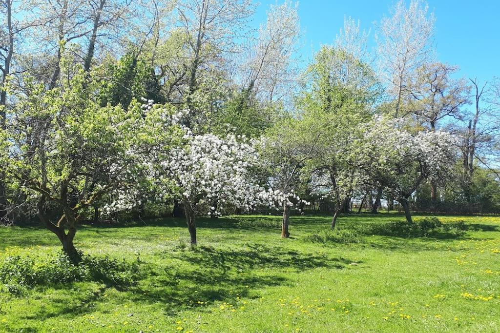 Gite A La Ferme, Avec Animaux, Fromages Et Nature Neuville-les-Decize Exterior foto